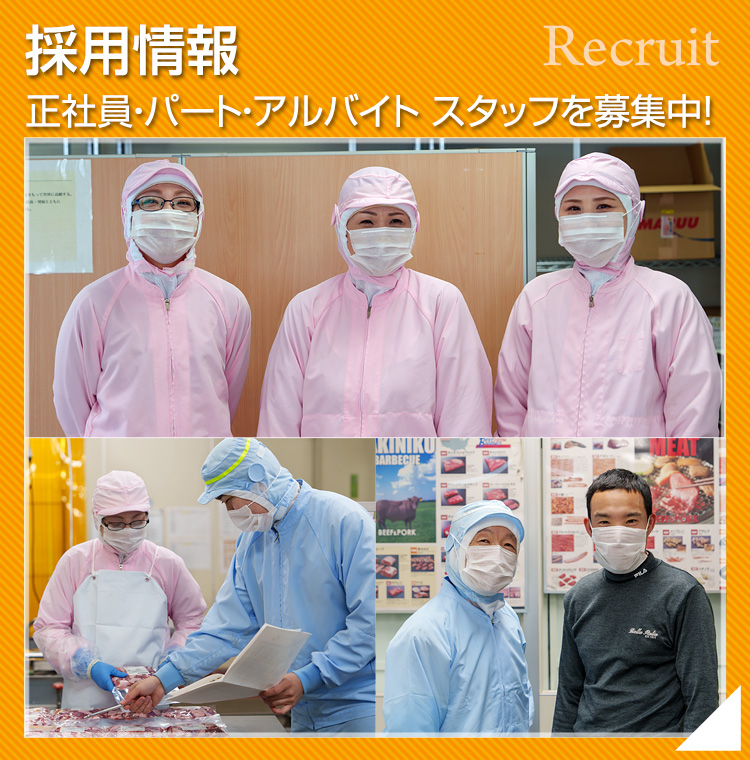 採用情報
